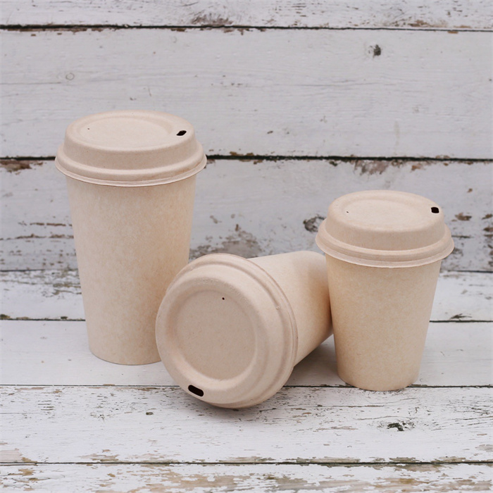 sugarcane cup from mmcis china